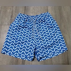 Men’s small Love Brand and Co swim trunks
